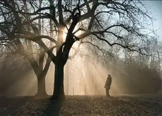 تمرینی که در دو هفته شما را امیدوارتر می‌کند