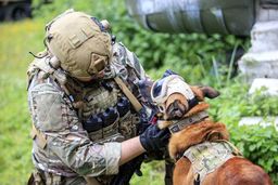 چرا ارتش فرانسه اینقدر دامپزشک دارد؟