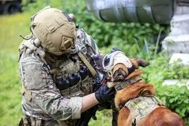 چرا ارتش فرانسه اینقدر دامپزشک دارد؟