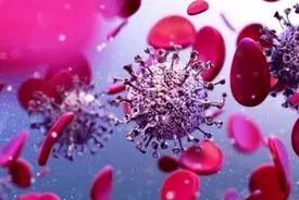  تولید روی کاغذ یا واقعیت بازار؟ 