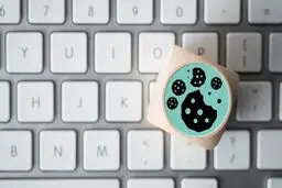 با کلیک روی «Accept Cookies» چه اتفاقی می‌افتد؟ | حقیقتی که بیشتر کاربران اینترنت از آن خبر ندارند