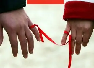 آیا «نیمه گمشده» واقعا وجود دارد؟ | دامِ عشاق